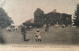 Salies De Béarn - La Ferme De Baillenx - Agriculture Paysan - Salies De Bearn