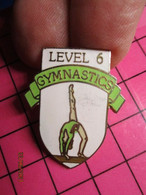 SP06 Pin's Pins / Beau Et Rare / THEME : SPORTS / PIN'S USA DOUBLE ATTACHE GYMNASTICS LEVEL 6 - Gymnastique