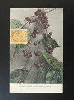 Carte Postale Postcard Café Coffee Costa Rica 1907 - Costa Rica