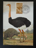 Carte Maximum Card Autruche Ostrich Sahara Espagnol 1958 - Straussen- Und Laufvögel