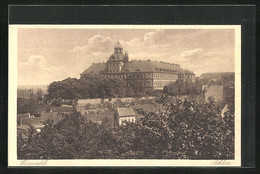 AK Weissenfels, Blick Auf Das Schloss - Weissenfels