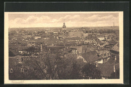 AK Weissenfels, Blick über Die Dächer Der Stadt - Weissenfels