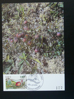 Carte Maximum Card Fruit Grisette Saint-Pierre Et Miquelon 2001 - Maximumkaarten