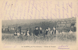 Vire (14 Calvados) La Salette Près Vire Colonie De Vacances - Jeunes Filles Dans Les Champs - Circulée Aout 1914 - Vire