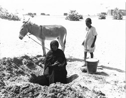 Soudan  Désert De Nubie, Wad Banaga. A La Recherche De L'eau Vivant Univers. - Afrique