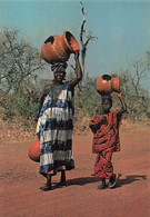 & Gambie Gambia Afrique On The Way To Market Marché Femme Folklore Portant Poterie Sur La Tete - Gambia