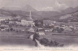 CHATEL SAINT DENIS          LE MOLESON ET LA DENT DE LYS - Châtel-Saint-Denis