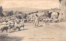 Divers Auvergne        63          Intérieur D'une Ferme       N° 3    (voir Scan) - Auvergne Types D'Auvergne