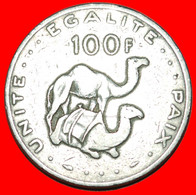 • CAMELS FRANCE (1977-2017): DJIBOUTI  ★ 100 FRANCS 1977! LOW START ★ NO RESERVE! - Gibuti