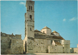 P5612 Molfetta (Bari) - Vista Laterale Del Duomo Cattedrale / Non Viaggiata - Molfetta