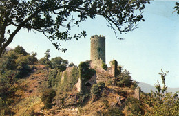 RUINES DU CHATEAU FEODAL DE CHADENAC AUX ENVIRONS DE THUEYTS - Autres & Non Classés