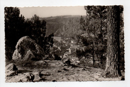 - CPSM SAINT-LÉONARD-DES-BOIS (72) - Vue Du Bourg à Travers Les Pins - Edition GALLOIS N° 13 - - Saint Leonard Des Bois