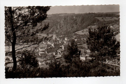 - CPSM SAINT-LÉONARD-DES-BOIS (72) - Le Bourg, Vu Des Collines - Edition GALLOIS N° 10 - - Saint Leonard Des Bois