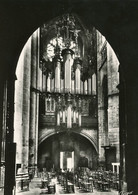 RODEZ LA CATHEDRALE NOTRE DAME LE BUFFET D'ORGUES - Rodez