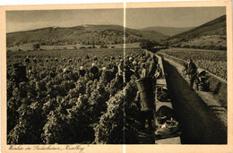 DEIDESHEIM . PFALZ  EDEL WEINKULTUR . 1946 ..( Trait Blanc Pas Sur L'original ) - Deidesheim