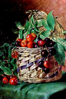 CPA Illustrateur FRUITS NATURE MORTE, PANIER DE BELLES CERISES , CHERRIES IN BASKET A/s M BILLING , Hildesheimer - Plantes Médicinales