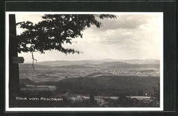 AK Neukirch / Lausitz, Blick Vom Pirschken - Neukirch (Lausitz)