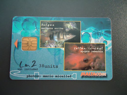 MALTA USED CARDS  FISH FISHES MARINE LIFE OCTOPUS  2 SCAN - Poissons