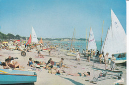 CARNAC - La Grande Plage - Carnac