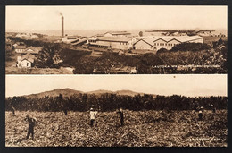 Lautoka Mill , Harvesting Cane Fiji NON VIAGGIATA CODICE C.3111 - Fidji