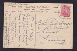 DDZ 797- CENSURE Militaire Belge Post WWI - Carte-Vue Freyr TP Albert JAMBES 1919 à Luxembourg-Censure Violette De ARLON - Autres & Non Classés