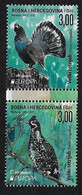 BOSNIA HERZ. CROATA /BOSNIA I HERZEGOVINA MOSTAR  -EUROPA 2021 -ENDANGERED NATIONAL WILDLIFE"-  SERIE Procede Del BLOCK - 2021