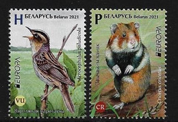 BIELORRUSIA /BELARÚS /WEISSRUSSLAND - EUROPA 2021-"ENDANGERED NATIONAL WILDLIFE"- SERIE De 2 V. - N - 2021