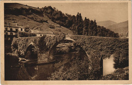 CPA AK Bidarray Le Tres Pitt.et Vieux Pont FRANCE (1131868) - Bidarray
