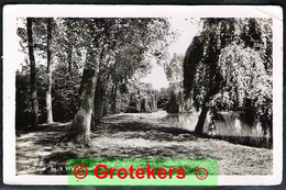 SITTARD In ’t Wandelpark 1955 - Sittard