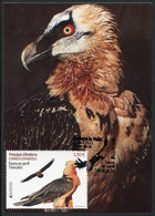 ANDORRA (2021) - EUROPA Fauna En Perill Trencalos Quebrantahuesos Gypaetus Barbatus Bearded Vulture Carte Maximum Card - Autres & Non Classés