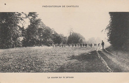 76 - CANTELEU  - Préventorium Départemental  - La Course Sur La Pelouse - Canteleu
