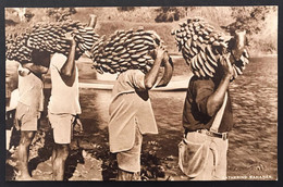 Gathering Bananas Fiji NON VIAGGIATA CODICE C.3149 - Fidji