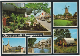 Groeten Uit Hoogeveen - Molen , Pony, Huifkar Etc. - (Drenthe) - Hoogeveen