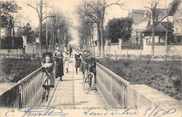 94-SINT-MAUR- LE PARC, L'AVENUE DES LACS ET DLA PASSERELLE - Saint Maur Des Fosses