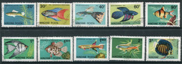 HUNGARY 1962 Ornamental Fish Used.  Michel 1820-29 - Gebraucht