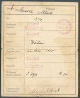 PASSEPORT LAISSER-PASSEZ Pou Albert Massez Commune De RONSE RENAIX Oostvlanderen Avec Cachet Violet De IV.KOMMANDANTUR R - Autres & Non Classés