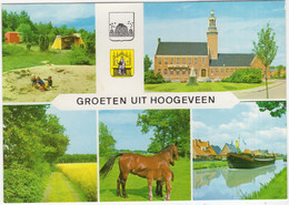 Groeten Uit Hoogeveen - Stadhuis, Camping, Binnenvaartschip, Paard, Veulen  - (Drenthe) - Hoogeveen