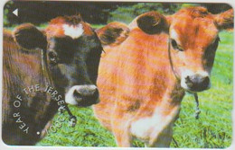 #14 - JERSEY-15 - COW - Other - Europe