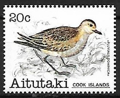 Aitutaki - MNH ** 1981 :   Pacific Golden Plover  -  Pluvialis Fulva - Otros