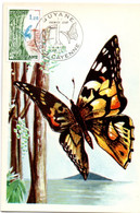 Guyane Cayenne 1976 -  Carte Maximum Papillon Butterfly - Cartas & Documentos