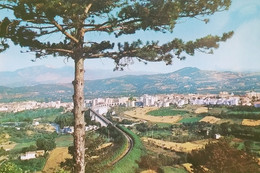 Cartolina - Isernia - Panorama - 1970 Ca. - Isernia