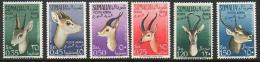 Somalia (AFIS)- 1955 Antelope-Antilopes-Antilopen-Antilopi  ** - Somalia (AFIS)