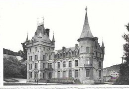 NISMES/LE CHATEAU CONSTRUIT PAR LA FAMILLE LICOT VERS 1860/ACTUELLEMENT PROPRIETE COMMUNALE/NELS - Viroinval