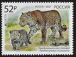 RUSIA 2021 /RUSSLAND /RUSSIA - EUROPA 2021 -"NATIONAL ENDANGERED WILDLIFE"- LEOPARD (PANTHERA).- SERIE De 1 - N - 2021