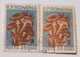 Stamps Errors Romania 1958 # Mi 1725  Mushrooms Different Color - Errors, Freaks & Oddities (EFO)