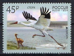 Russia 2019. Europa - CEPT. Birds. Fauna  MNH - Nuovi
