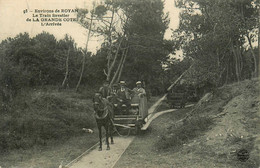 Environs Royan * Le Train Forestier De La Grand Côte * L'arrivée * Omnibus Cheval Chemin De Fer Charente Maritime - Royan