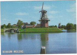 Dokkum - Molens - (Friesland, Holland) - Dokkum