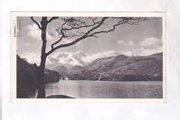 TIMBRES EIRE , UPPER LAKE ,       AVEC PUB AU DOS En 1951! - Storia Postale