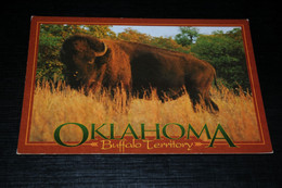 29385-                   AMERICAN PLAINS BISON, OKLAHOMA - Autres & Non Classés